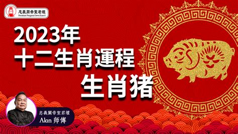 2024年生肖運程 豬|屬豬出生年份+2024今年幾多歲？屬豬性格特徵+最新。